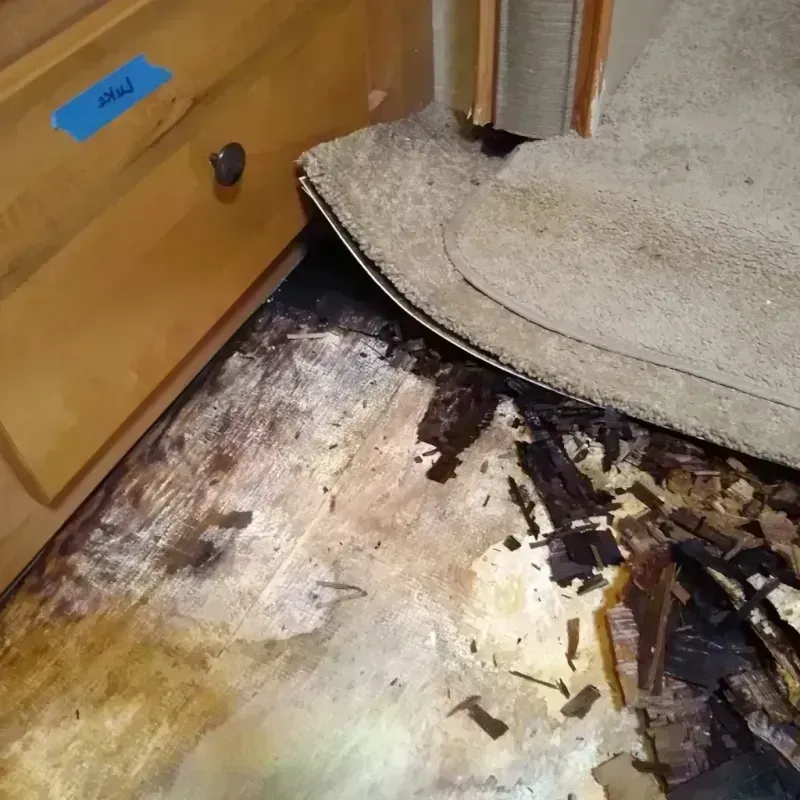 Wood Floor Water Damage in Colbert County, AL